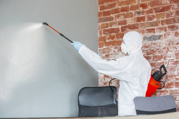 Best Forensic Mold Investigation  in Brinckerhoff, NY