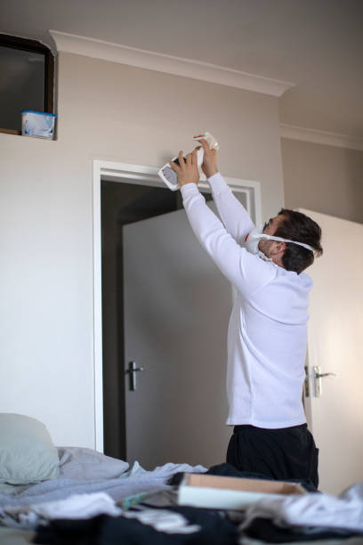 Best Asbestos and Lead Testing During Mold Inspection  in Brinckerhoff, NY