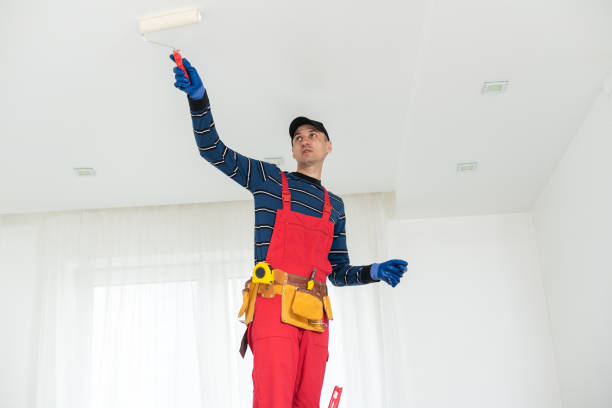 Best Mold Damage Restoration  in Brinckerhoff, NY