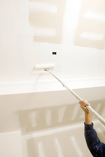 Best Real Estate Mold Inspection  in Brinckerhoff, NY