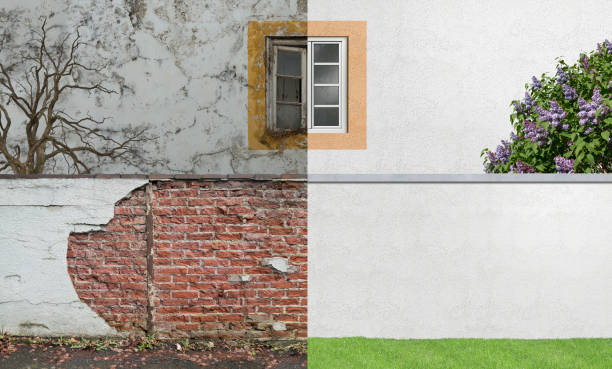 Reliable Brinckerhoff, NY Mold Removal Solutions